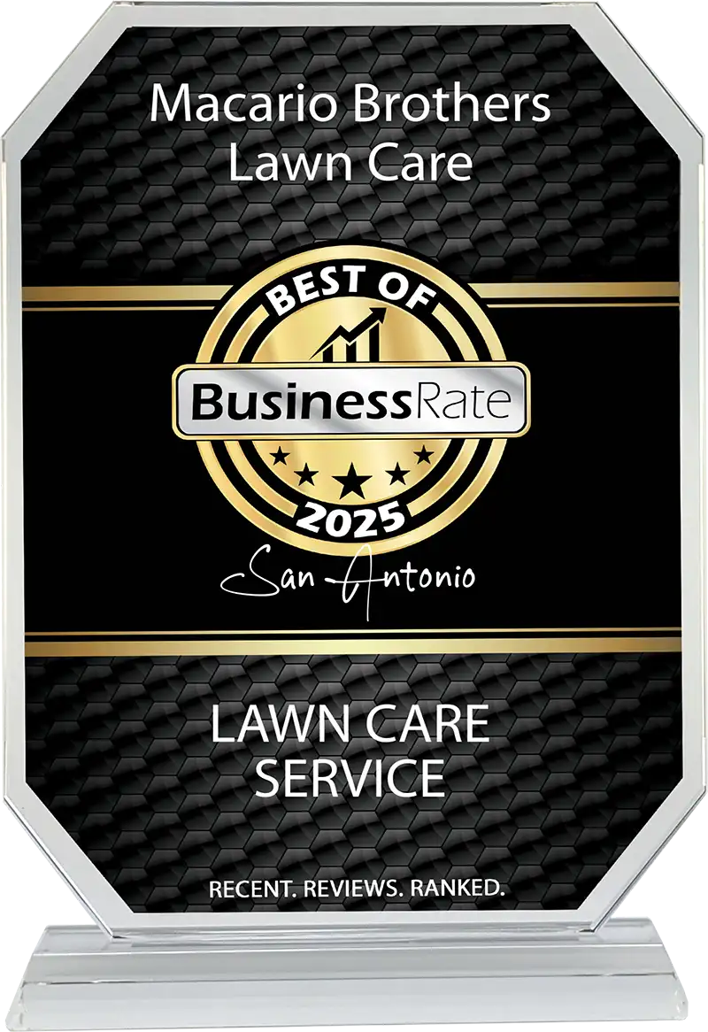 Best of BusinessRate 2025 San Antonio lawn care service award plaque for Macario Brothers