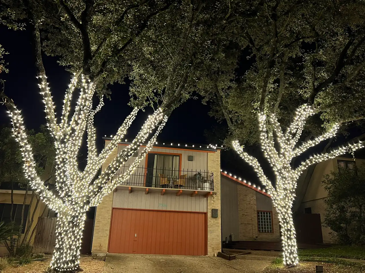 Oak trees wrapped in warm white holiday lights outside a home at night